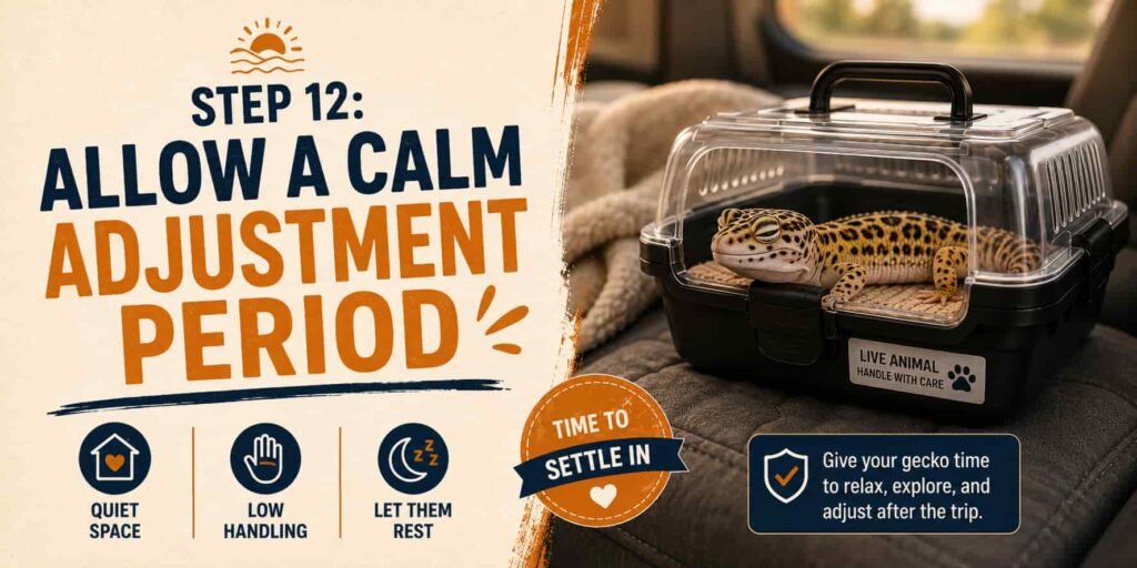 Allow a Calm Adjustment Period